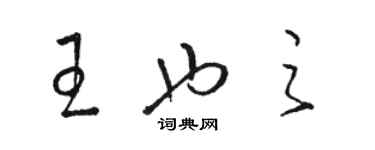 駱恆光王也之草書個性簽名怎么寫