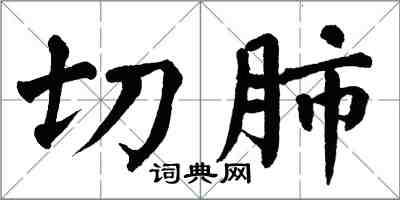 翁闓運切肺楷書怎么寫