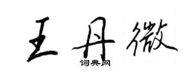 王正良王丹微行書個性簽名怎么寫