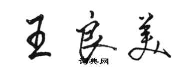 駱恆光王良美行書個性簽名怎么寫