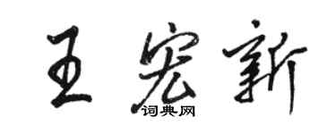 駱恆光王宏新行書個性簽名怎么寫