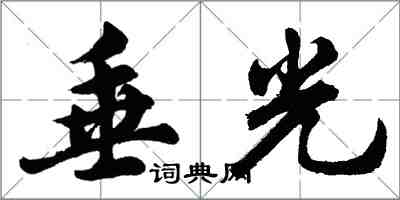 胡問遂垂光行書怎么寫