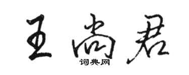 駱恆光王尚君行書個性簽名怎么寫