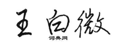 駱恆光王白微行書個性簽名怎么寫