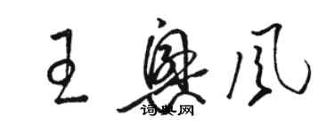 駱恆光王興風草書個性簽名怎么寫