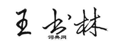 駱恆光王書林行書個性簽名怎么寫