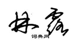 朱錫榮林露草書個性簽名怎么寫