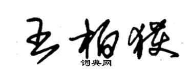 朱錫榮王柏獲草書個性簽名怎么寫