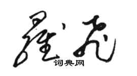 駱恆光羅飛草書個性簽名怎么寫