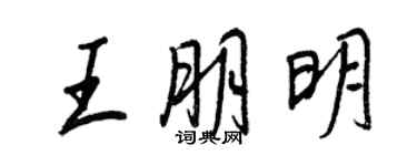 王正良王朋明行書個性簽名怎么寫