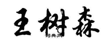 胡問遂王樹森行書個性簽名怎么寫