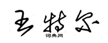 朱錫榮王特爾草書個性簽名怎么寫