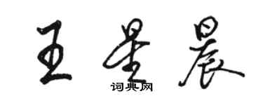 駱恆光王星晨行書個性簽名怎么寫