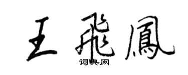 王正良王飛鳳行書個性簽名怎么寫