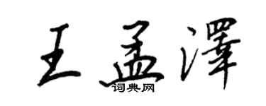 王正良王孟澤行書個性簽名怎么寫