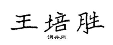 袁強王培勝楷書個性簽名怎么寫