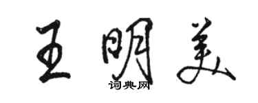 駱恆光王明美行書個性簽名怎么寫
