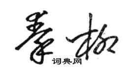 駱恆光秦柳草書個性簽名怎么寫