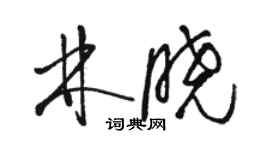 駱恆光林曉草書個性簽名怎么寫