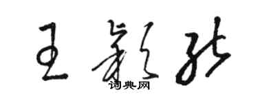 駱恆光王穎能草書個性簽名怎么寫