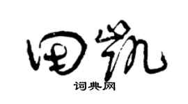 曾慶福田凱草書個性簽名怎么寫