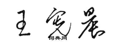 駱恆光王憲晨草書個性簽名怎么寫