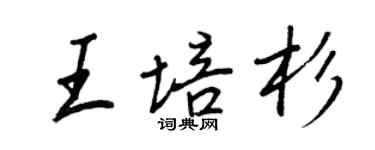 王正良王培杉行書個性簽名怎么寫
