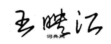 朱錫榮王映江草書個性簽名怎么寫