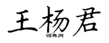 丁謙王楊君楷書個性簽名怎么寫