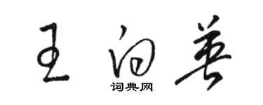 駱恆光王白英草書個性簽名怎么寫