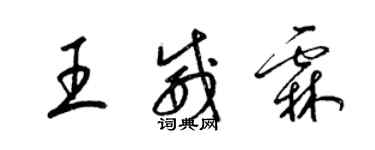 梁錦英王威霖草書個性簽名怎么寫