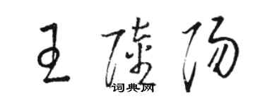 駱恆光王陸陽草書個性簽名怎么寫