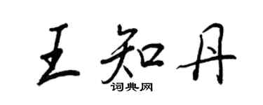 王正良王知丹行書個性簽名怎么寫