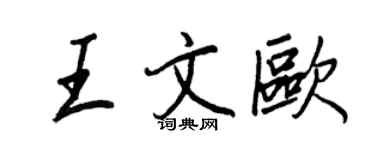 王正良王文歐行書個性簽名怎么寫