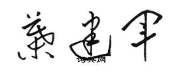 駱恆光葉建軍草書個性簽名怎么寫