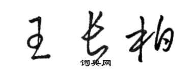 駱恆光王長柏草書個性簽名怎么寫
