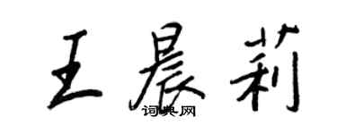 王正良王晨莉行書個性簽名怎么寫