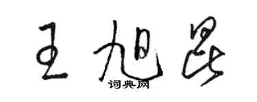 駱恆光王旭昆草書個性簽名怎么寫