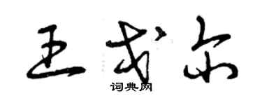 曾慶福王戈爾草書個性簽名怎么寫