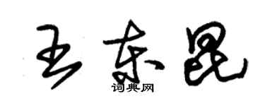 朱錫榮王東昆草書個性簽名怎么寫
