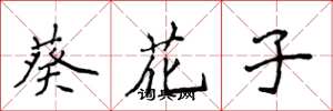 侯登峰葵花子楷書怎么寫