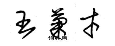 朱錫榮王菊才草書個性簽名怎么寫