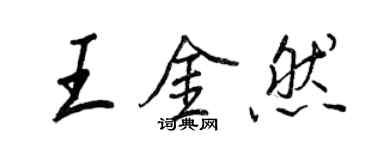 王正良王金然行書個性簽名怎么寫