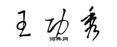 駱恆光王功秀草書個性簽名怎么寫