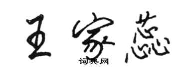 駱恆光王家蕊行書個性簽名怎么寫