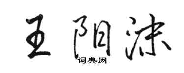駱恆光王陽沫行書個性簽名怎么寫