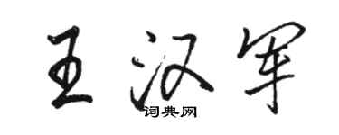 駱恆光王漢軍行書個性簽名怎么寫