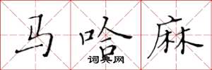 黃華生馬哈麻楷書怎么寫