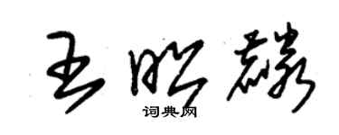 朱錫榮王昭麟草書個性簽名怎么寫