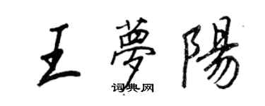 王正良王夢陽行書個性簽名怎么寫